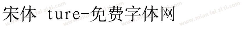 宋体 ture字体转换